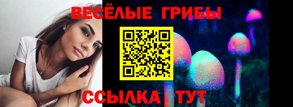 Псилоцибиновые грибы Cubensis  Галлюциногенные грибы Psilocybe  купить закладку  Рубцовск  Вход с VPN 